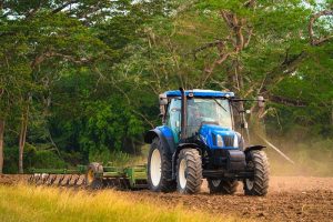 Landwirtschaft in Belize Landwirtschaft in Belize