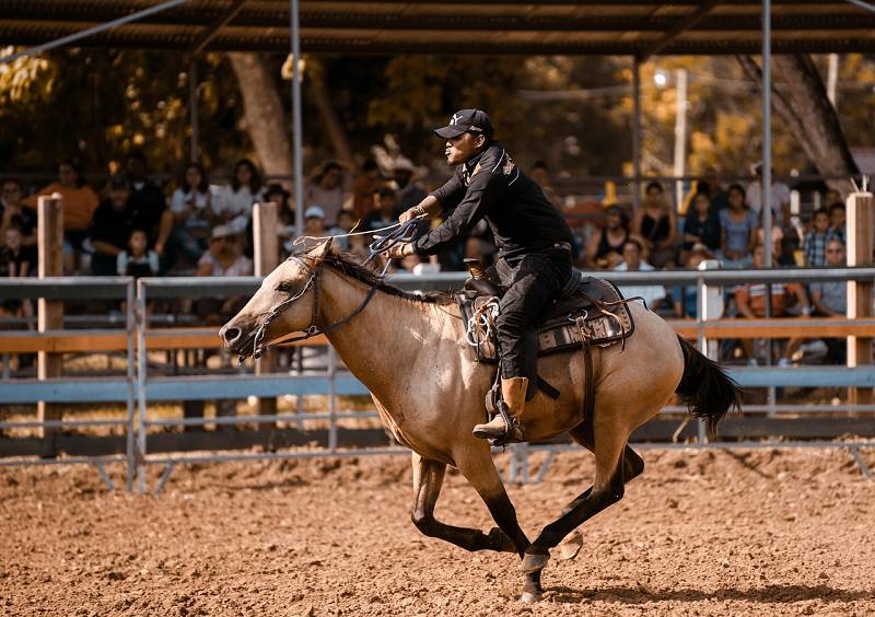 Pferdesport in Belize Pferdesport in Belize
