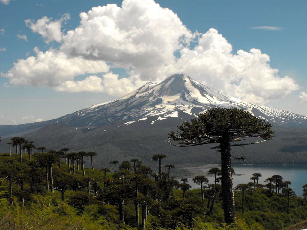 Chile Parque Nacional Conguilliok