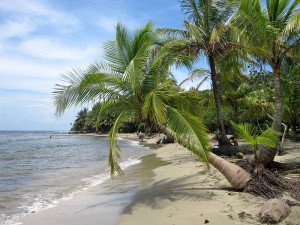 Costa Rica Playa de Manzanillo