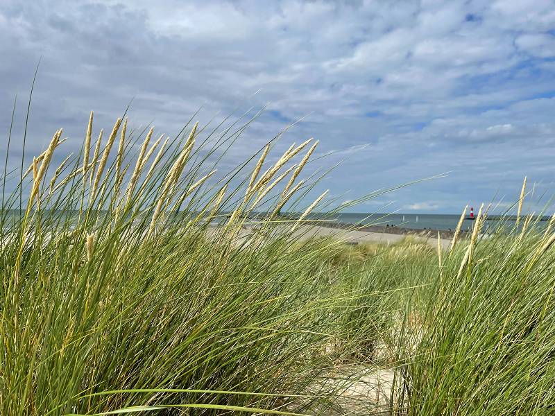 Die Dünen von Warnemünde, Rostock Die Dünen von Warnemünde, Rostock