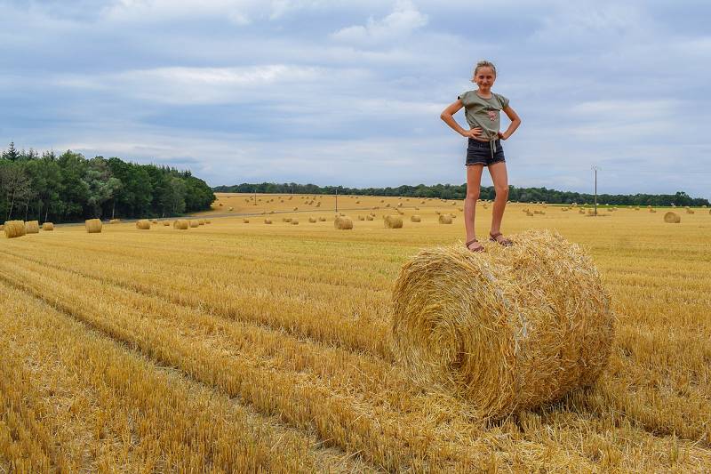 Mädchen auf einem Feld in Burgund