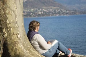 Lesen am See