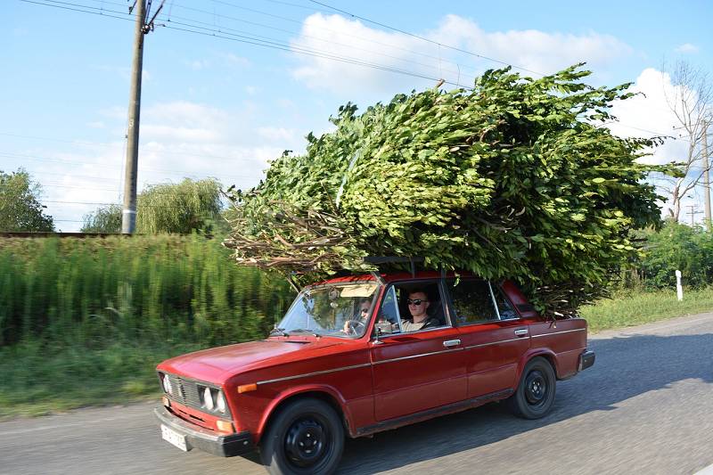 Alternative Transportmöglichkeiten