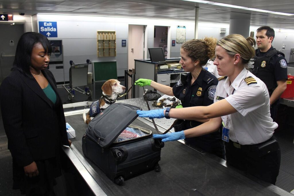 Hund Flughafen