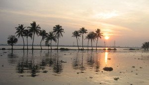 Indien Kerala Backwaters Sonnenuntergang
