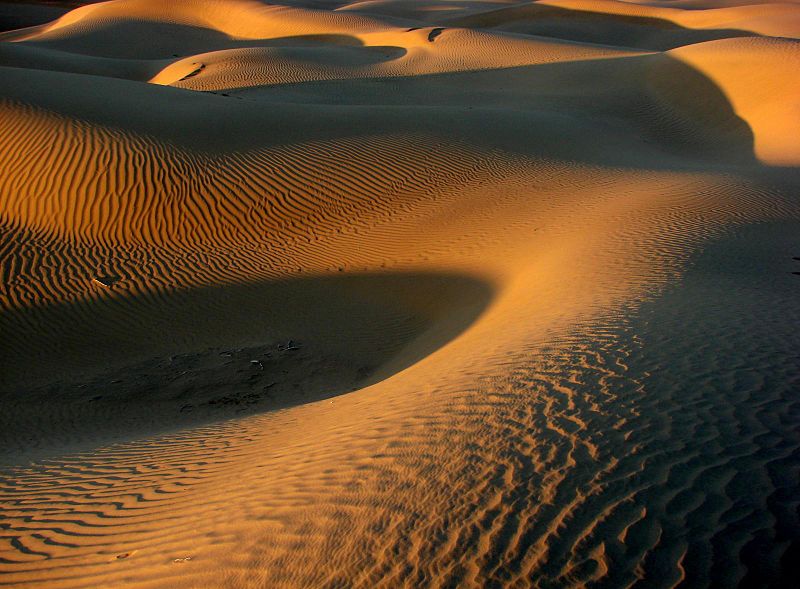 Indien Wüste Thar