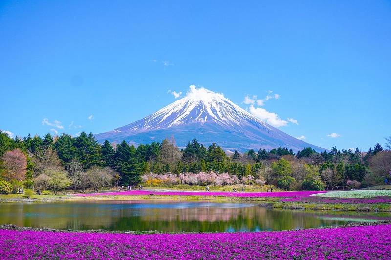 Fuji auf Japan Fuji auf Japan