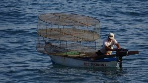 Fischer auf den Kanaren