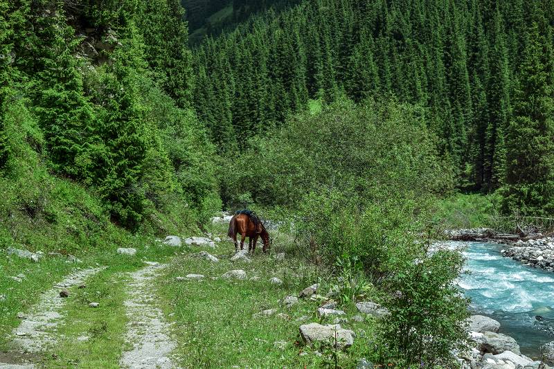 Tien Shan