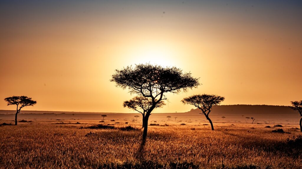 Kenia - Savanne