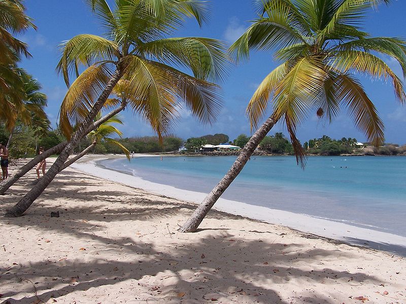 Martinique Strand Salines