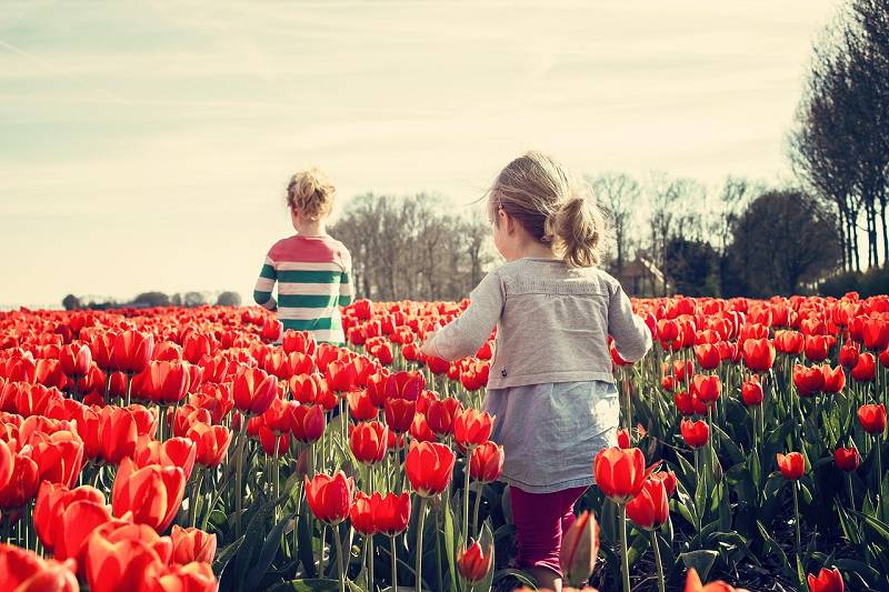 Mit den Kindern in den Tulpen - Niederlande
