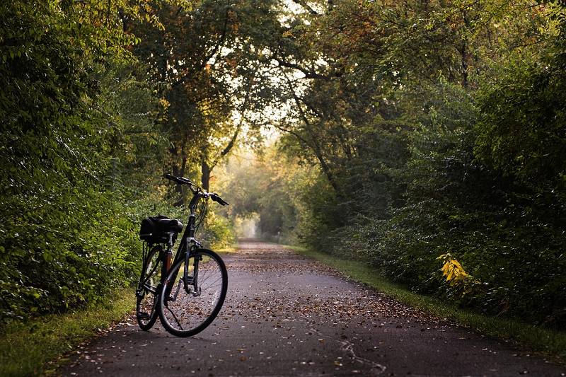 Lebensabend in den Niederlanden - Mit dem Fahrrad durch den Park