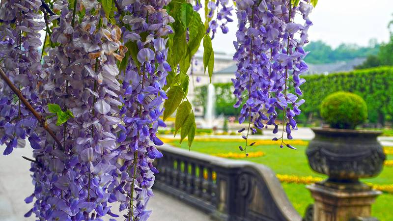 Mirabellpark in Salzburg, Österreich