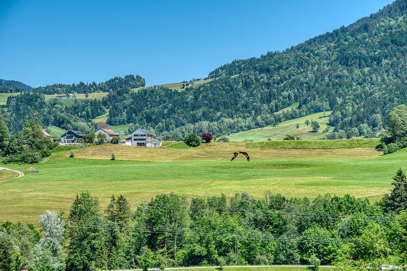 Bregenzerwald in Vorarlberg, Österreich