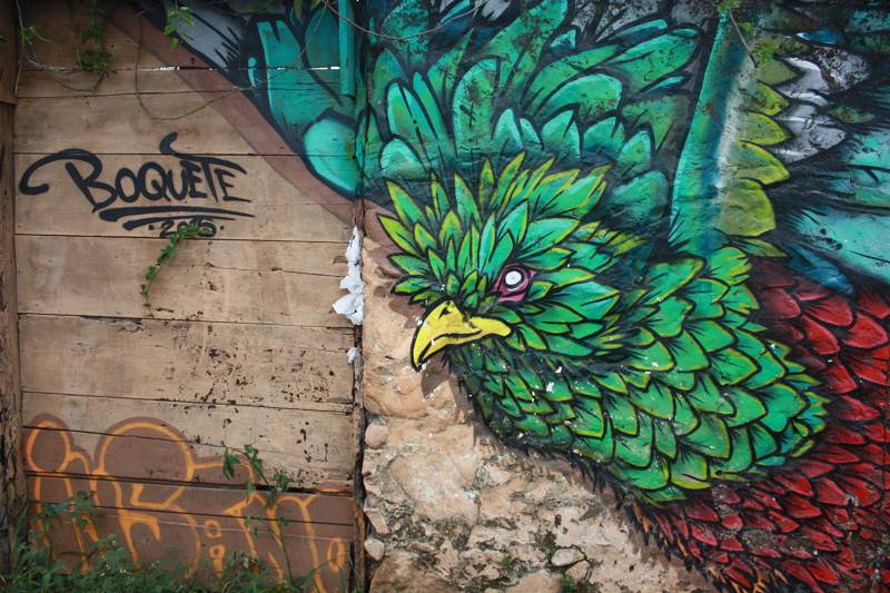 Panama-Boquete-Quetzal