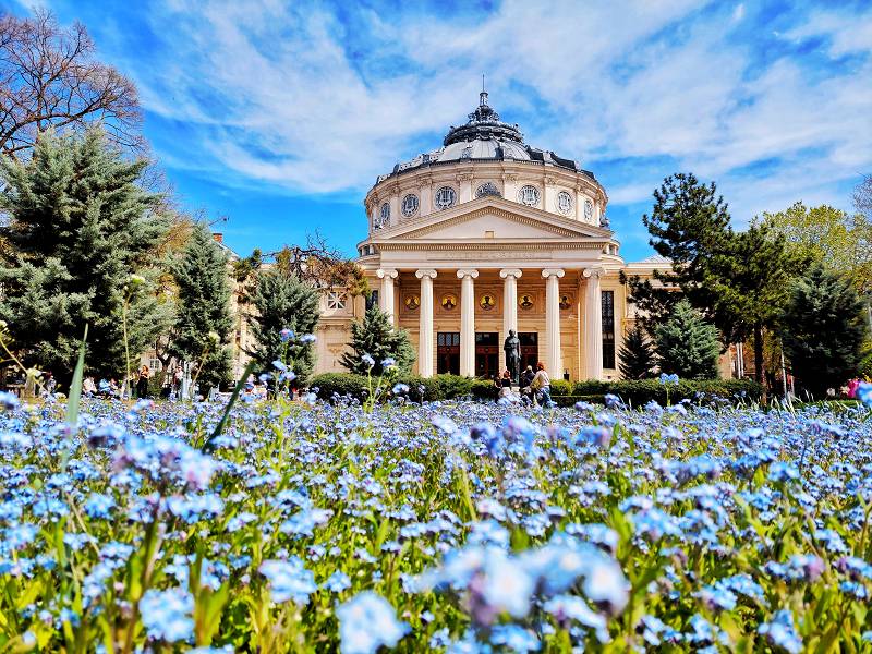 Rumänien-Bukarest-Athenäum