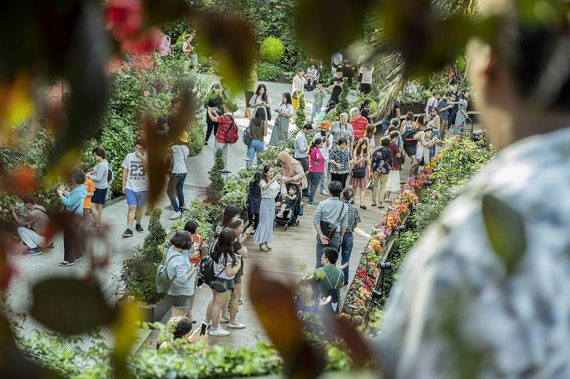 Gardens By The Bay in Singapur