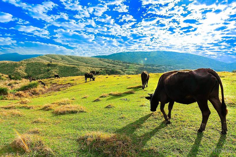 Leben in Taiwan - Yangmingshan, Qingtiangang