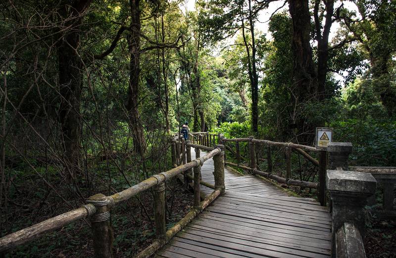 Thailand-Chiang Mai