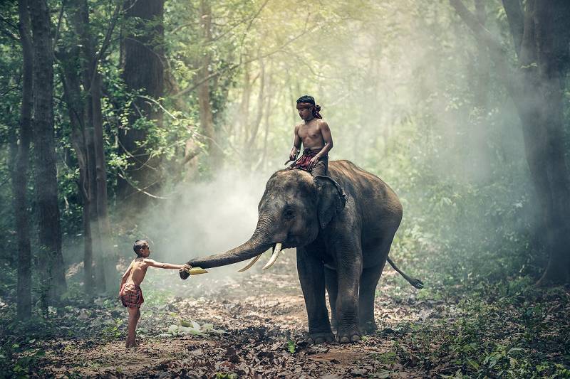 Leben mit Kindern in Thailand